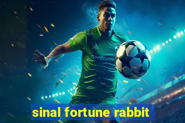 sinal fortune rabbit